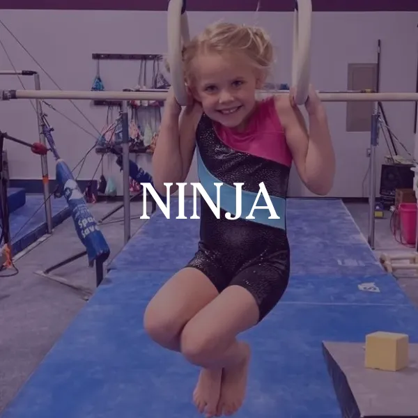 wisconsin ninja 3 wisconsin ninja