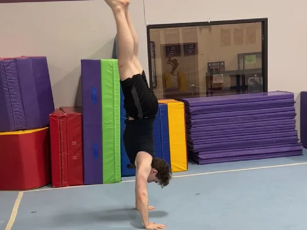 adult gymnastics classes
